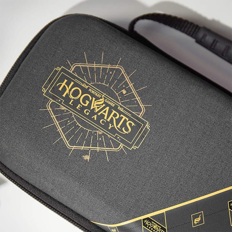 Hogwarts Legacy Switch Case